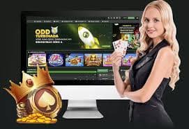 mtt6
